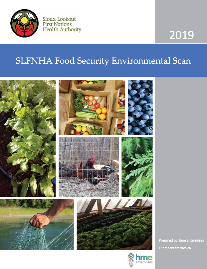 Food Security Environmental Scan